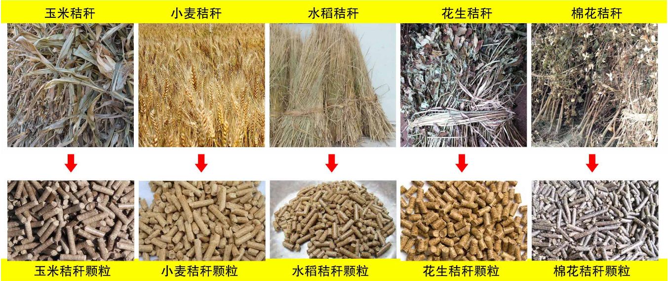 玉米秸秆、小麦秸秆等原材料