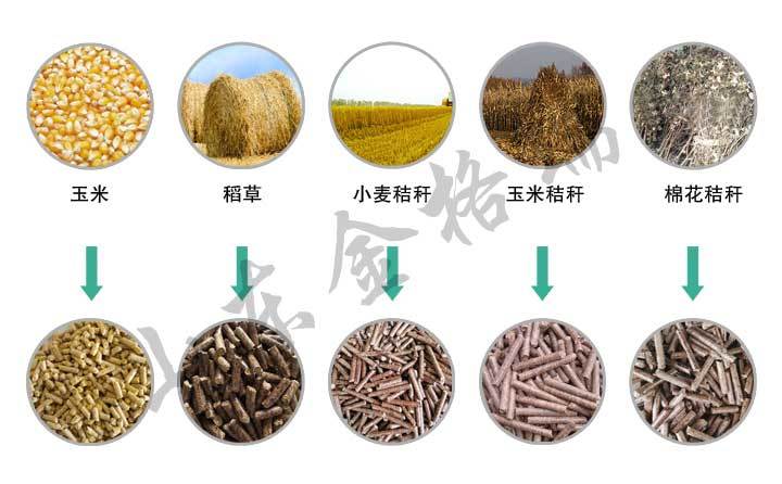 秸秆颗?；牧? width=